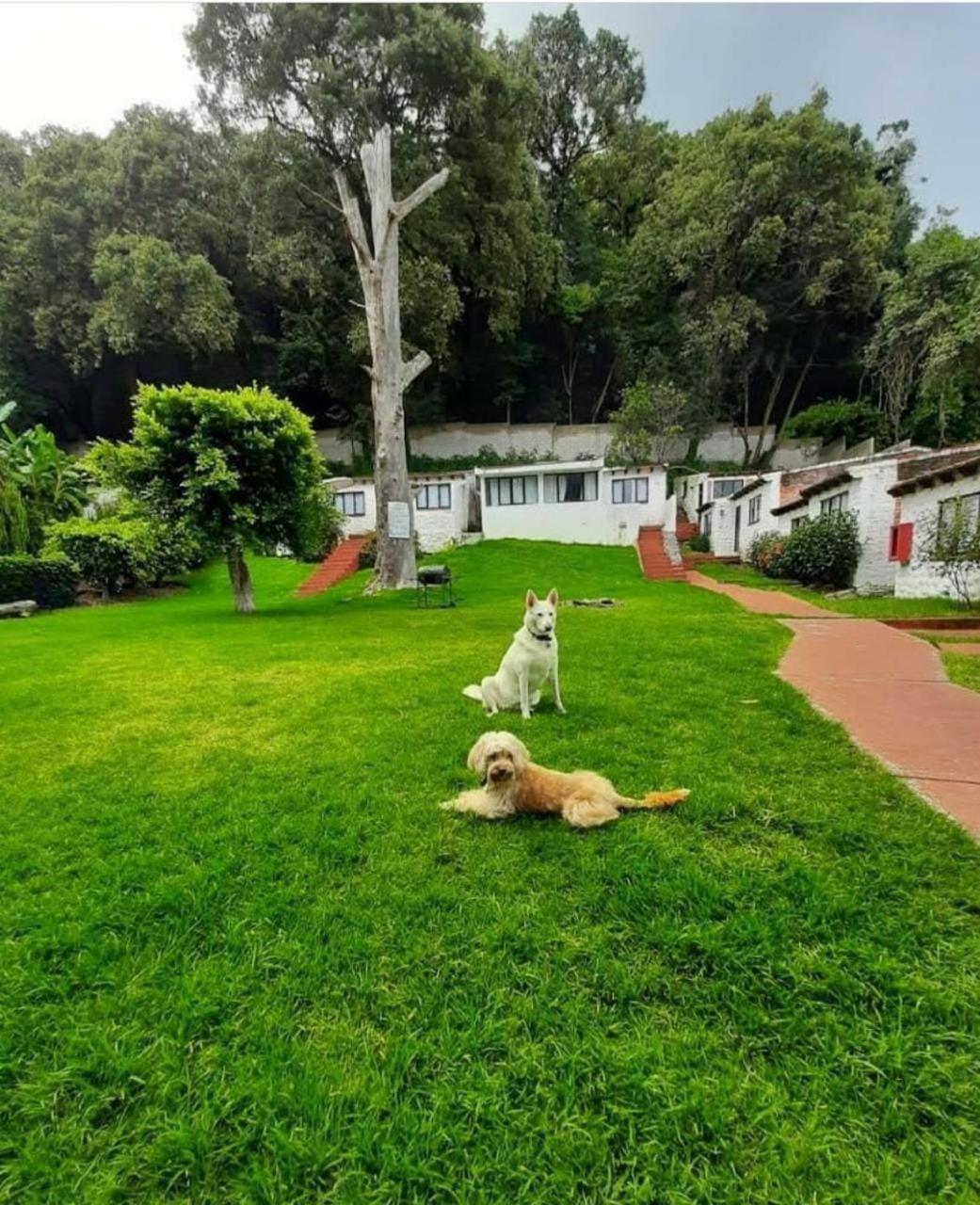 Club Santa Maria Hotell Cuernavaca Eksteriør bilde